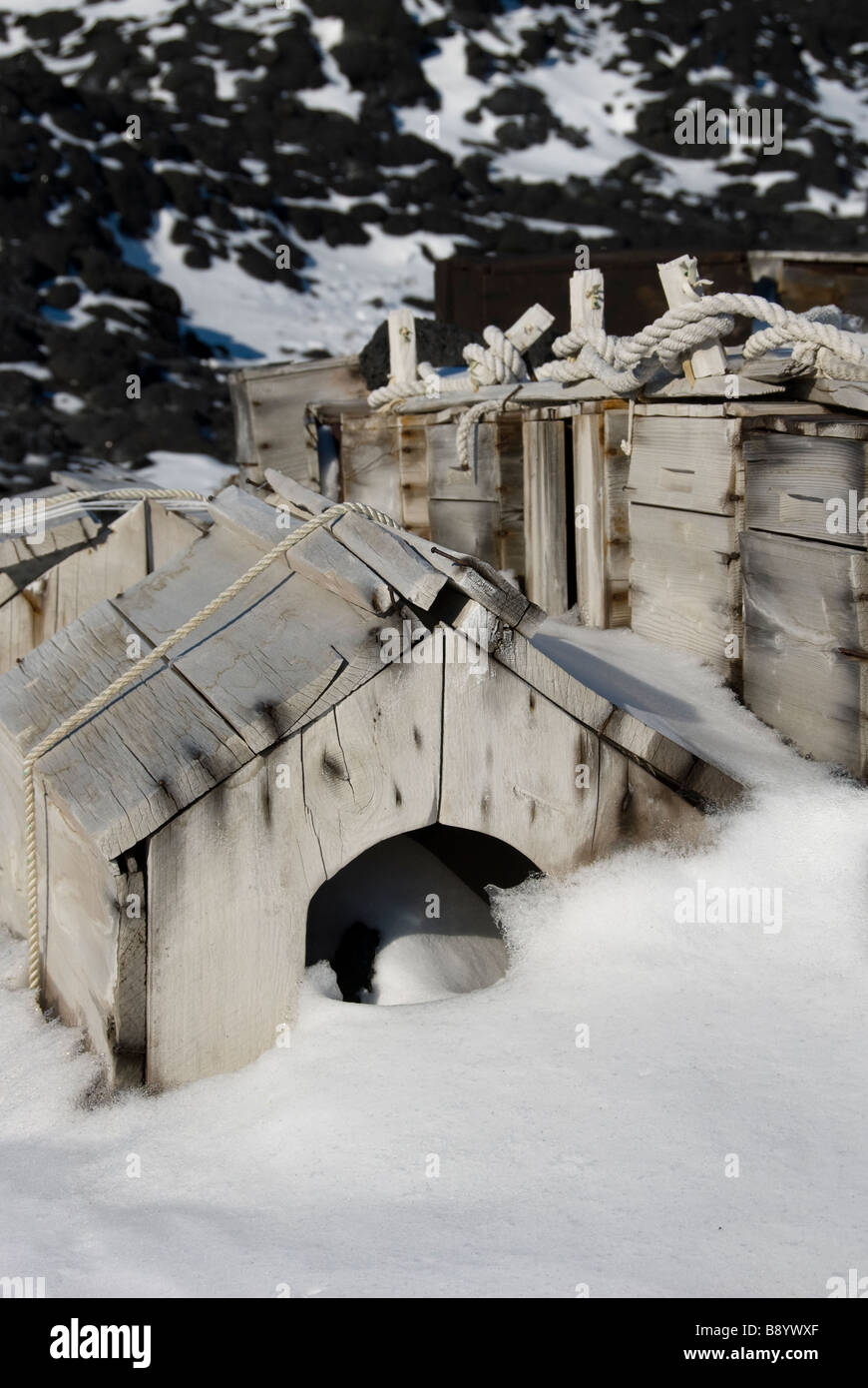 Hundehütten außerhalb Shackletons Nimrod Expedition Hütte, Kap Royds Rossmeer, Antarktis. Stockfoto