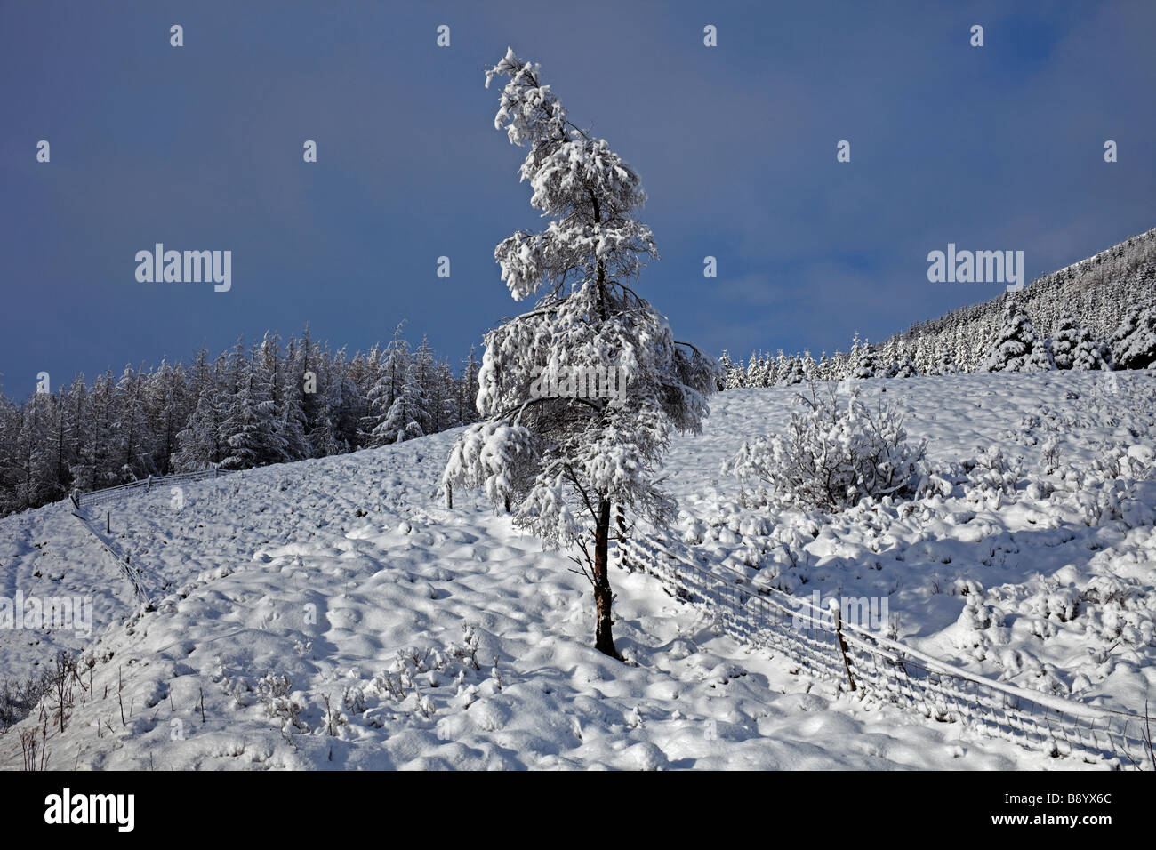 Schnee bedeckt, von Bäumen gesäumten Landschaft, Mühltal, Schottisches Hochland, Schottland, UK, Europa Stockfoto