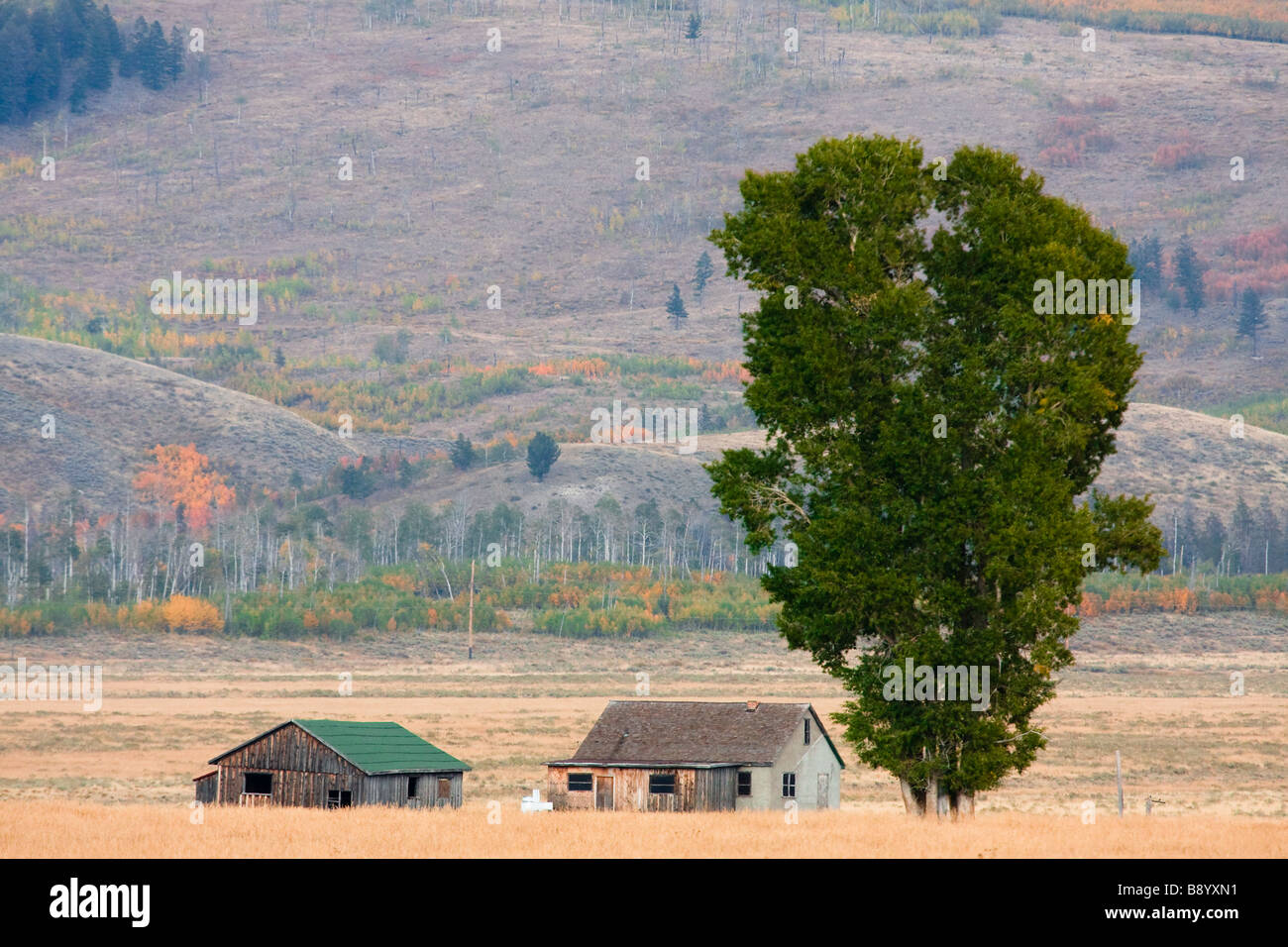 Landschaft der verlassenen Häuser Scheunen im Antelope Flats, Jackson Hole, Wyoming, USA Stockfoto