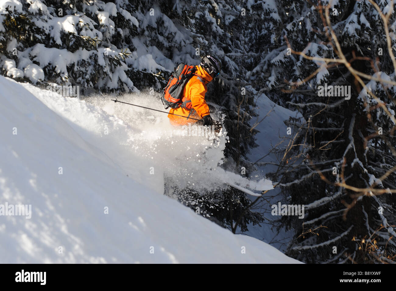 Skifahrer Sprünge über eine Beule im Tiefschnee Stockfoto