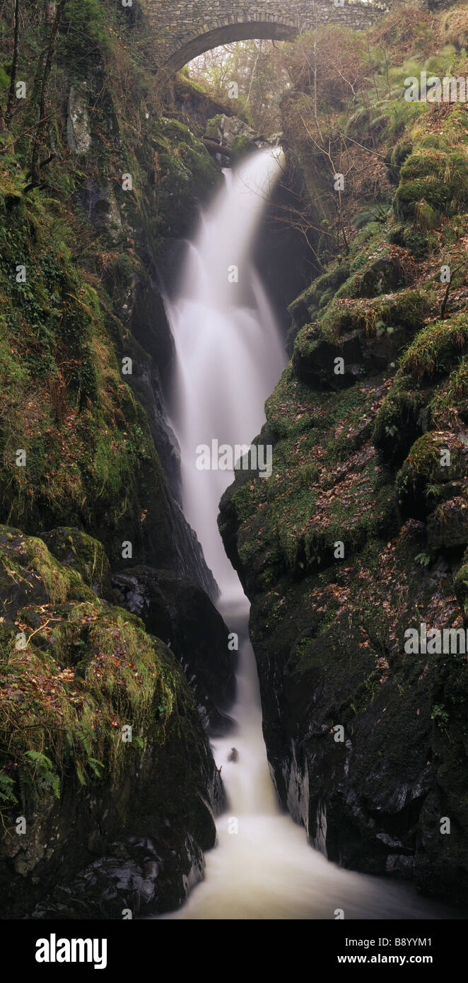 Aira Force Wasserfall entstehen durch eine Brücke und fallen in einem Schwall von weißer Schaum zwischen Moos bedeckt Felsen Stockfoto