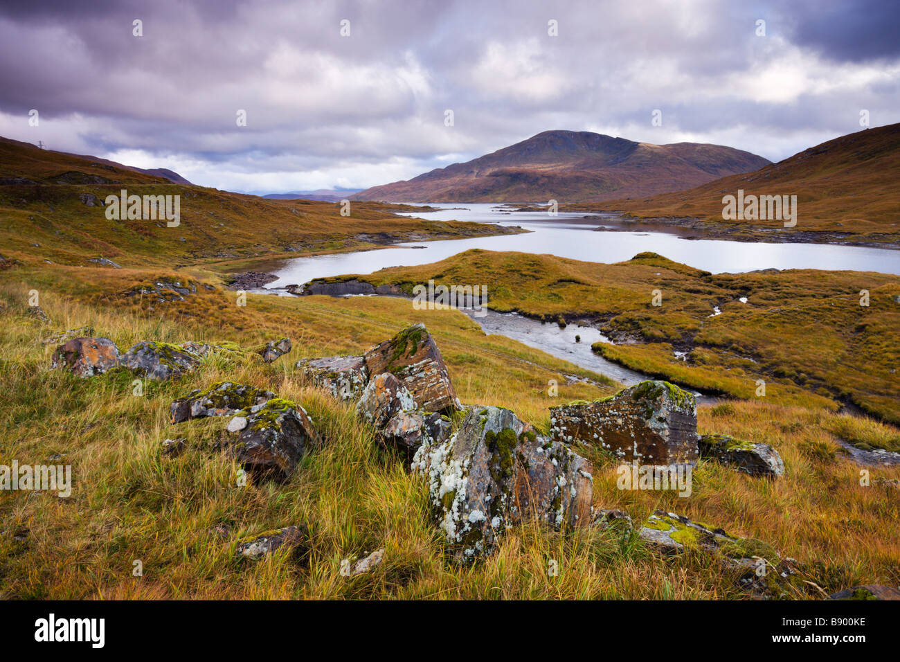 Herbstliche Heidelandschaft und Berge neben Loch Quoich Highland-Schottland Stockfoto
