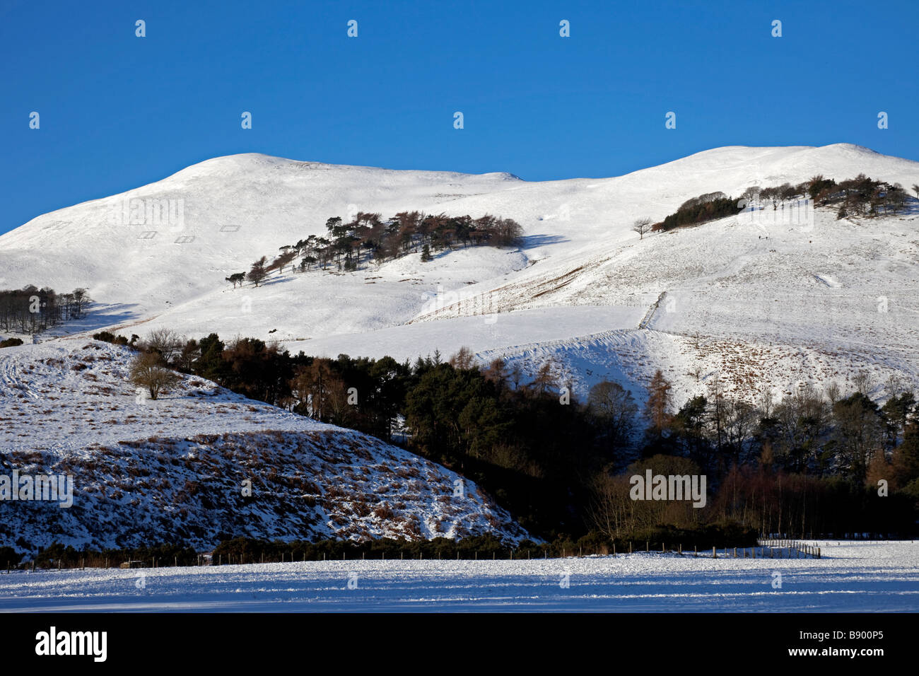 Verschneite Landschaft, Pentland Hills, Midlothian, Scotland, UK, Europa Stockfoto