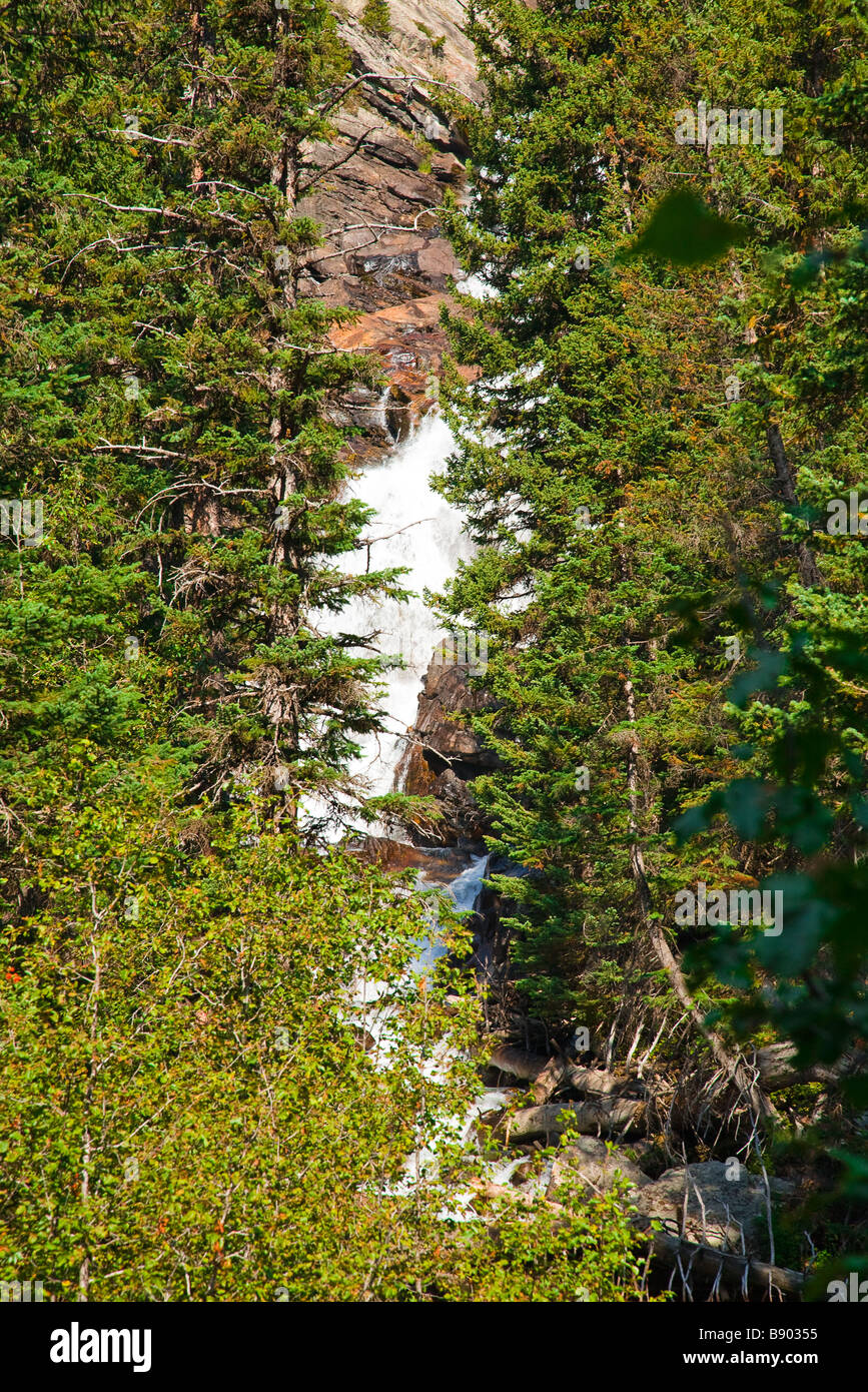 Verborgene Wasserfälle an der Grand-Teton-Nationalpark, Wyoming USA Stockfoto