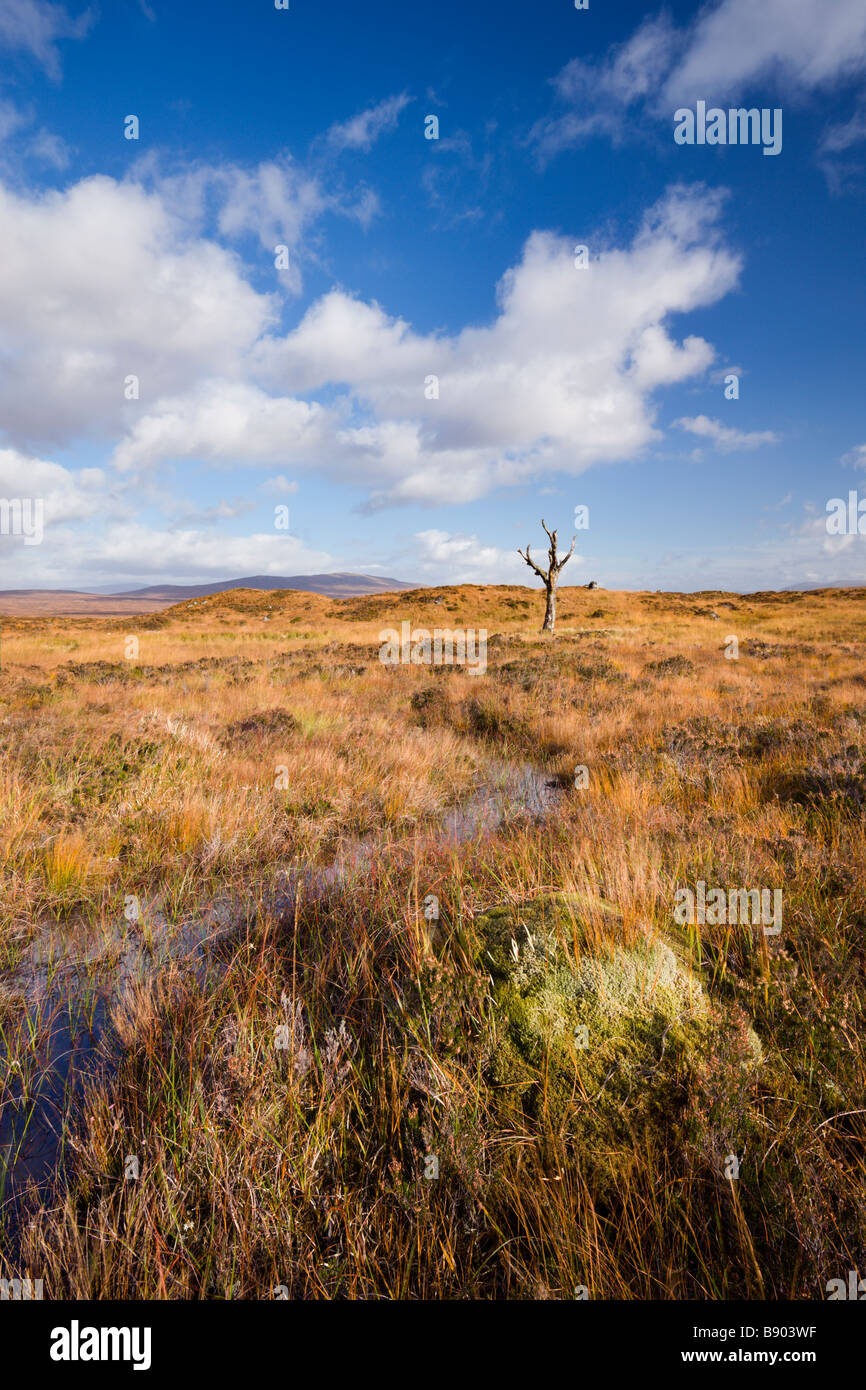 Rannoch Moor Wildnis im Herbst Hochland Schottland Stockfoto
