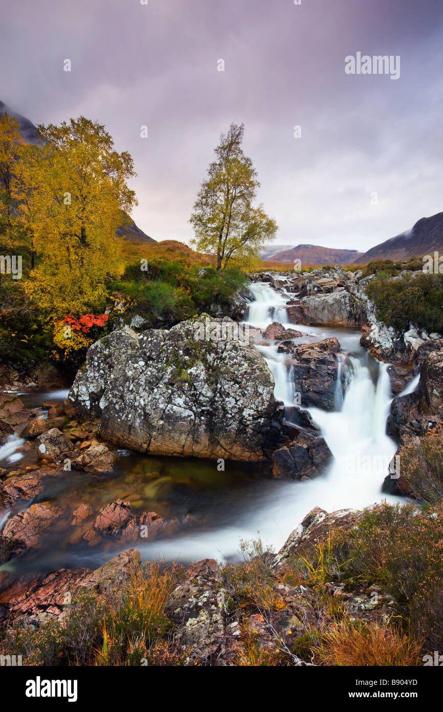 Herbstfärbung neben dem Fluß Etive in Glen Etive Highlands Schottland Stockfoto