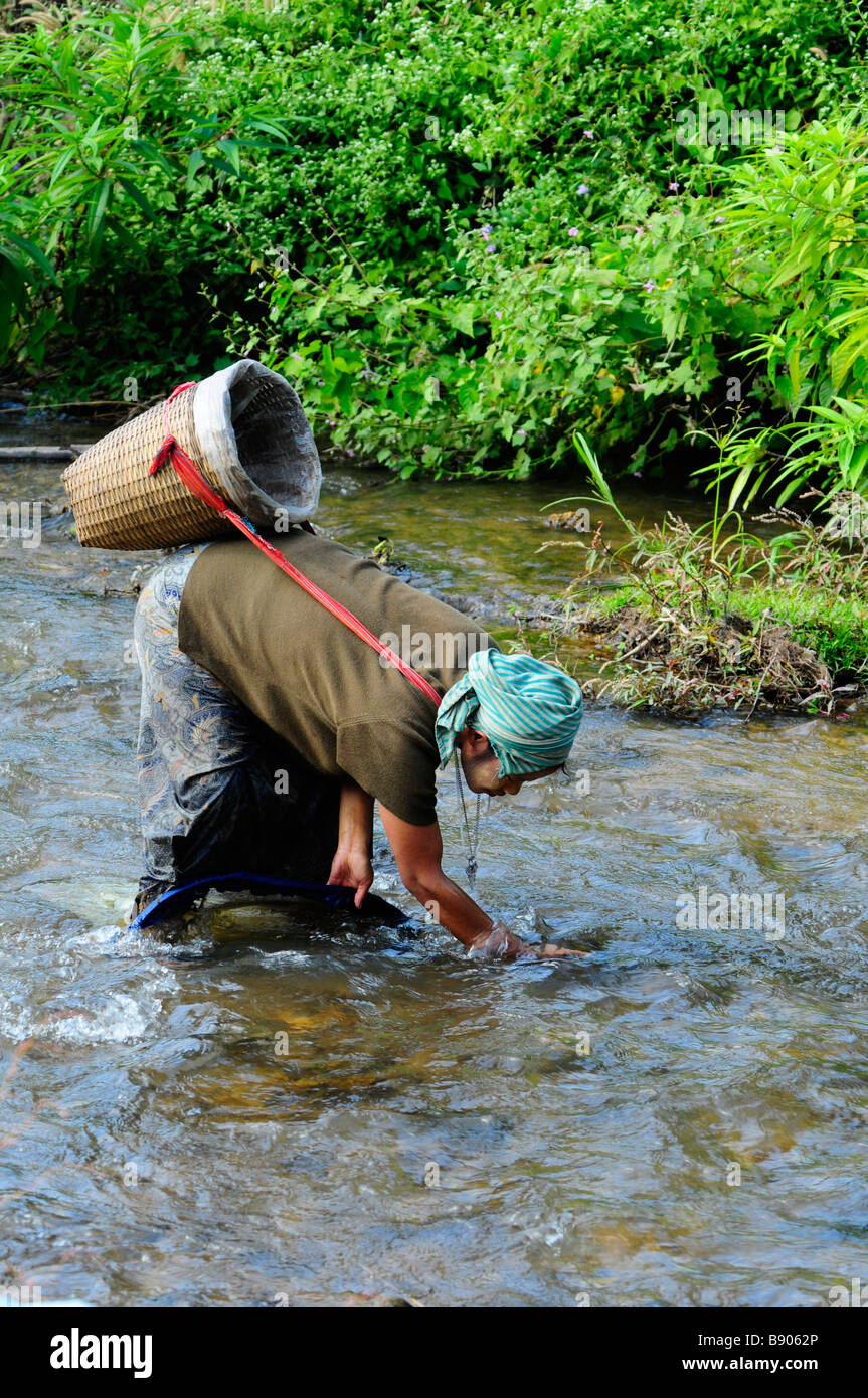 Karen Refugee Frau Fang von Fischen mit Netz im Fluss in der Nähe von Maela Refugee Camp, Tak, Nord-Thailand. Stockfoto