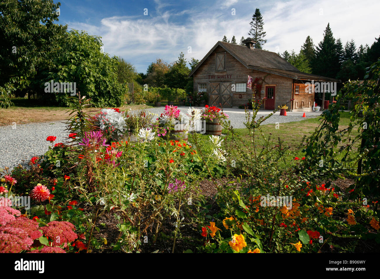 Weinkellerei und Blumen auf dem Starling Lane Weingut auf der Saanich-Halbinsel in der Nähe von Victoria, British Columbia, Kanada. Stockfoto