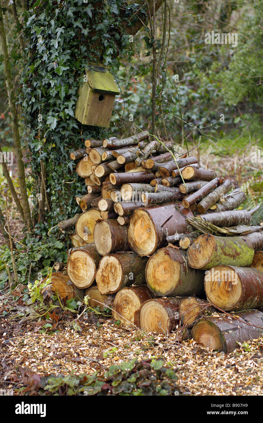Die Gartenarbeit für die Tierwelt einen Vogel Nistkasten mit einer Lieferung von Loga gegen einen Baum gestapelt für eine Saison bietet wertvollen Lebensraum für Vögel, Säugetiere und Amphibien einschließlich der in diesem Beispiel in Holbrook Garten Devon für Siebenschläfer und gemeinsamen Molche Stockfoto
