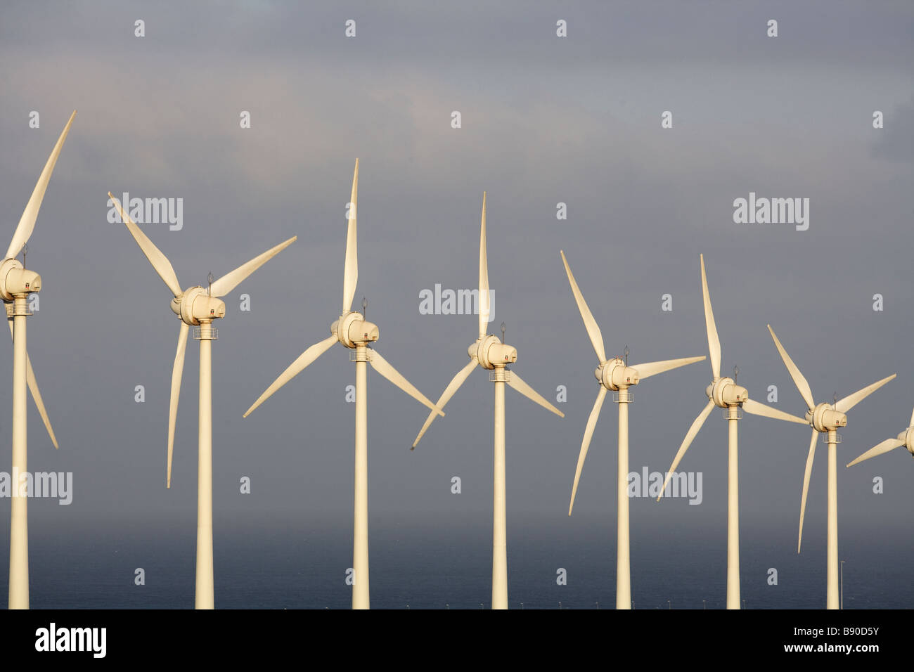 Windkraftanlagen der Kanarischen Inseln. Stockfoto