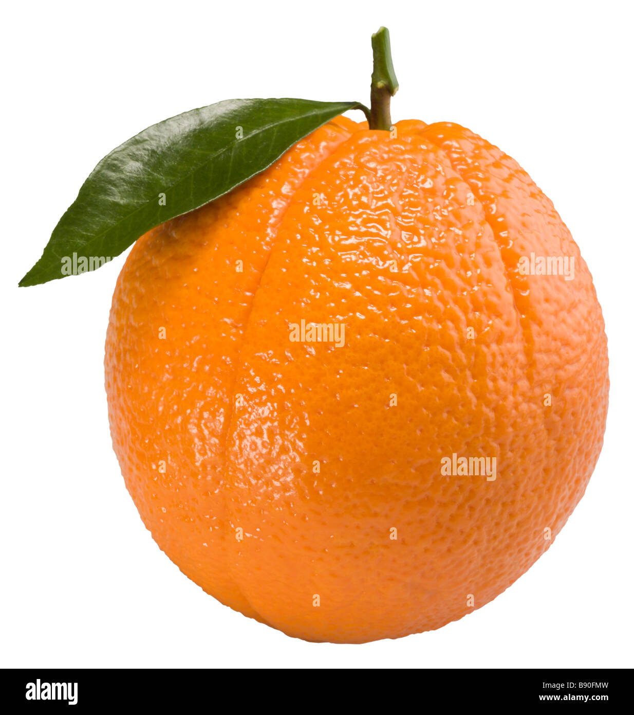 Orange mit einem Blatt [+ Clipping-Pfad] Stockfoto