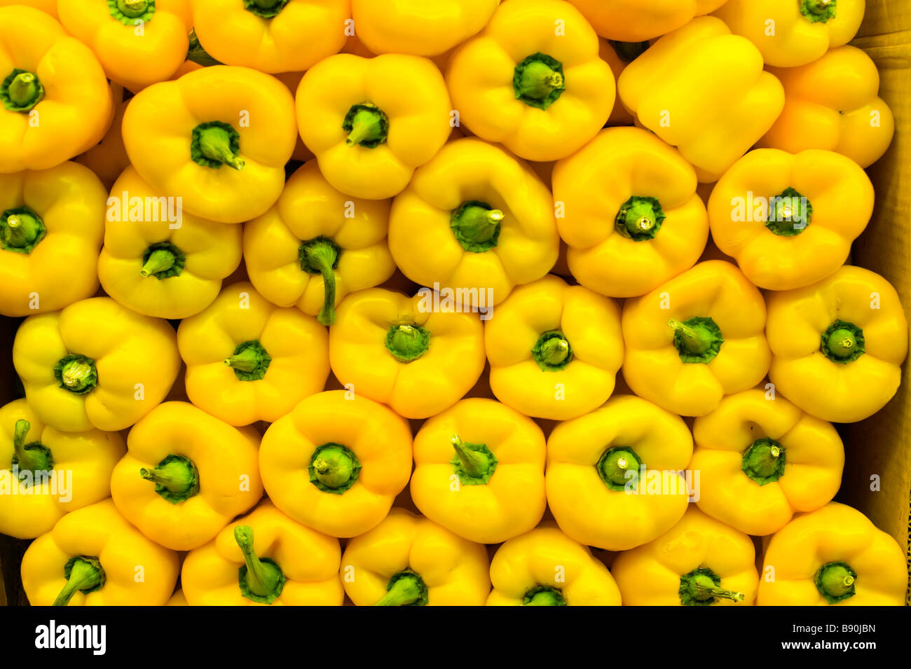 Leuchtend gelbe Paprika symmetrisch aufgereiht Stockfoto
