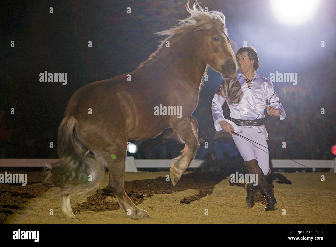 Pony Pferd und Mensch Stockfoto