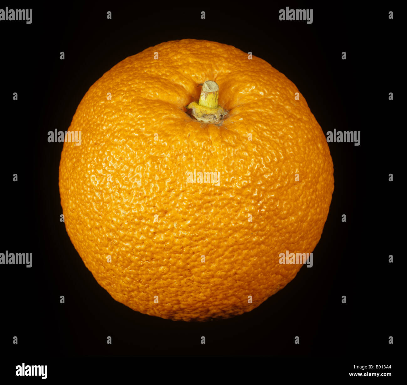 Orange Citrus Aurantium Sevilla sauer ganze Frucht auf schwarzem Hintergrund Stockfoto