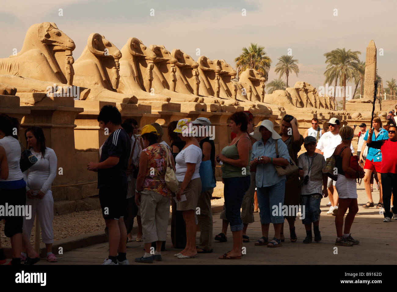 Reihe von cryosphinx -Fotos und -Bildmaterial in hoher Auflösung – Alamy