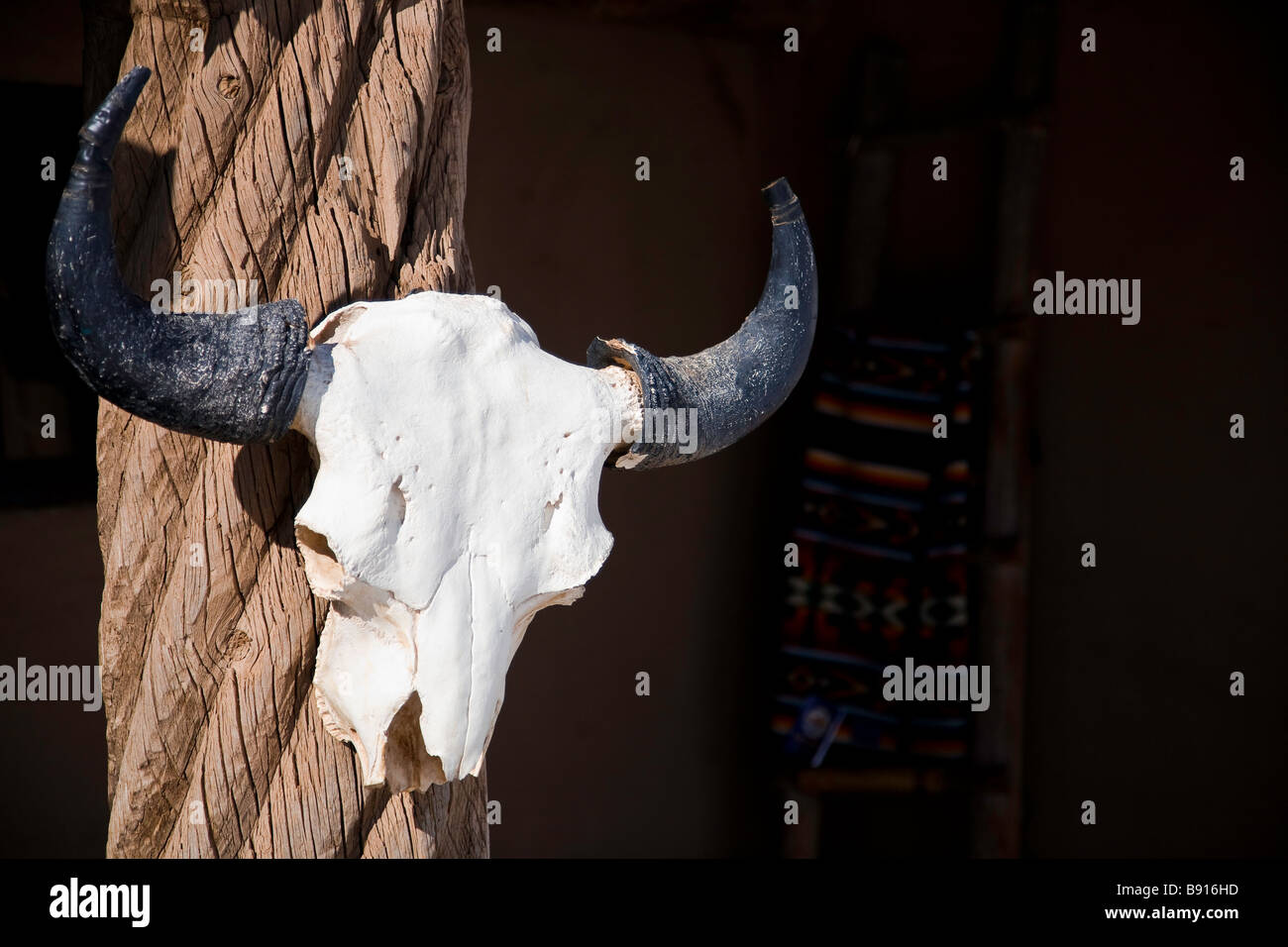 Foto von einem Bison Schädel hängen auf eine Stelle innerhalb der Taos Pueblo in Taos, New Mexico. Stockfoto