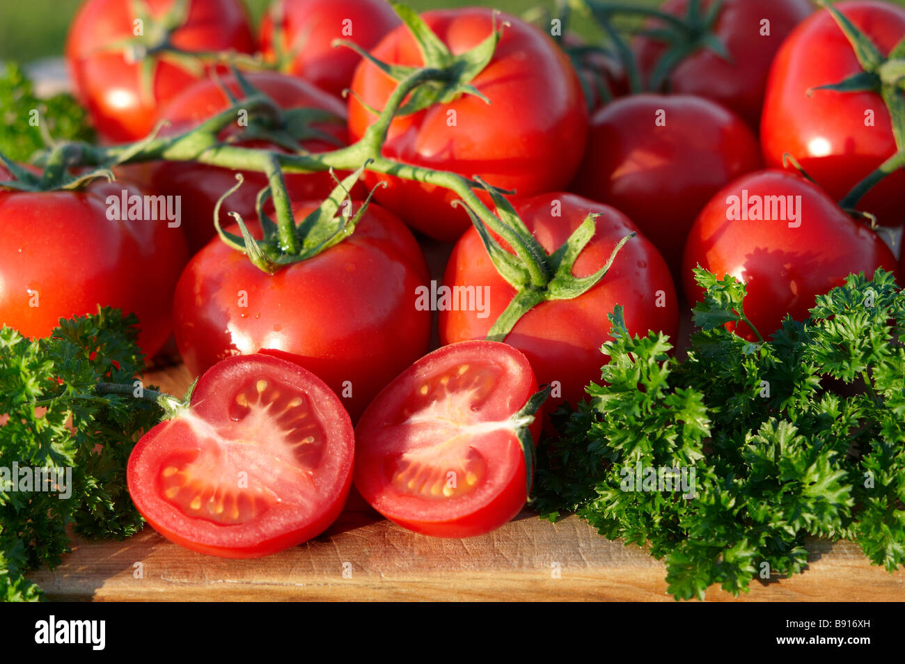Home Reife Bio Tomaten angebaut Stockfoto