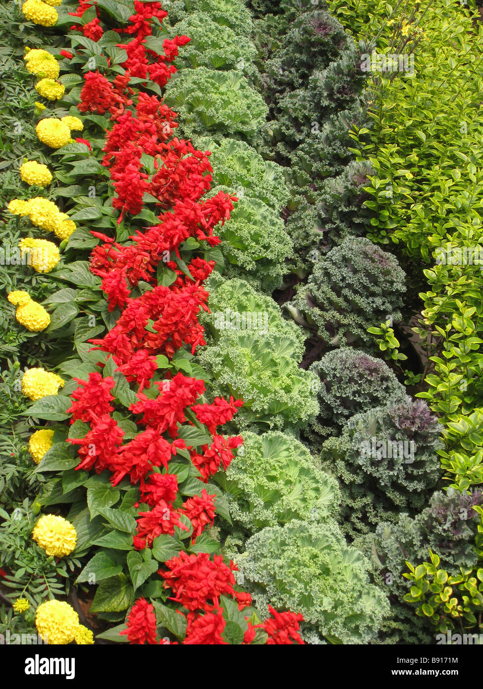 Schöne Zeilen von bunten Blumen im buddhistischen Tempel in Chengde Stockfoto