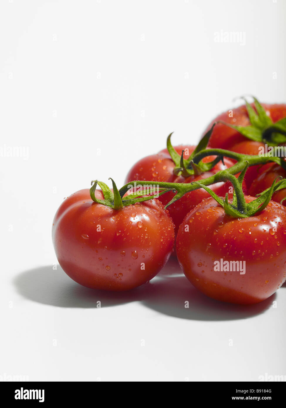 Frische Tomaten Stockfoto