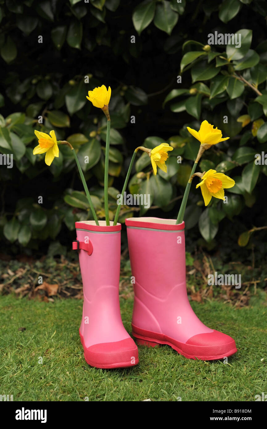 Paar neue rosa Gartenarbeit Stiefel oder Gummistiefel mit Narzissen.   Stiefel und Narzissen im Fokus Stockfoto