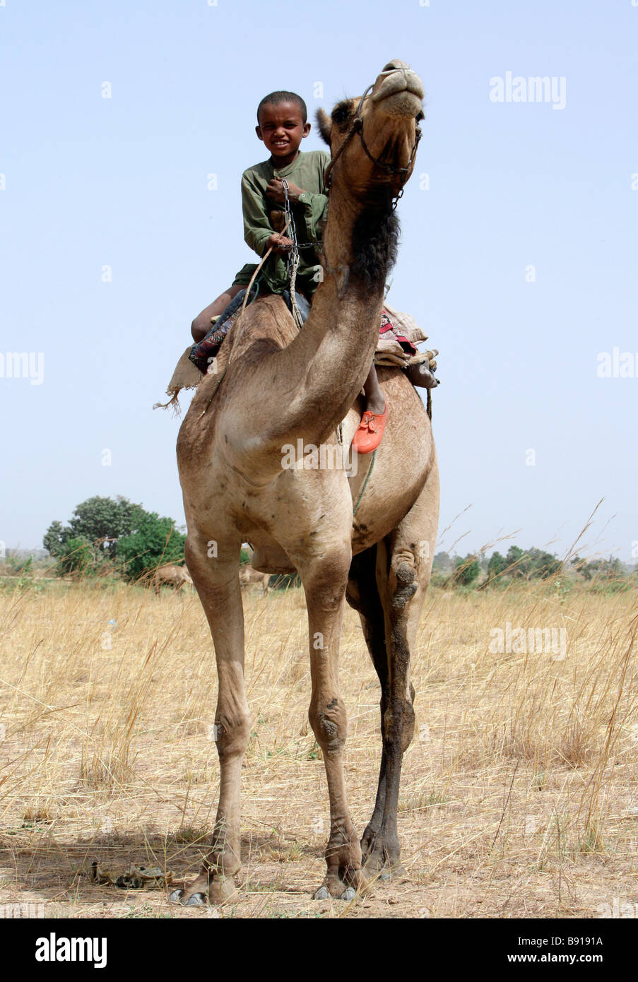 Nigeria: junge Nomad junge reitet auf dem Rücken seines Kamels Stockfoto