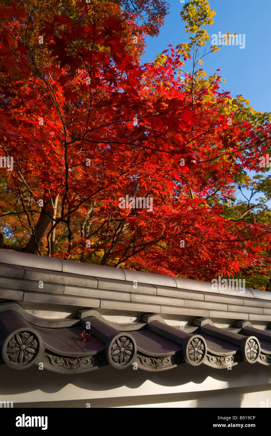 Herbstfärbung bei Eikando Zen Garten Kyoto Japan Stockfoto