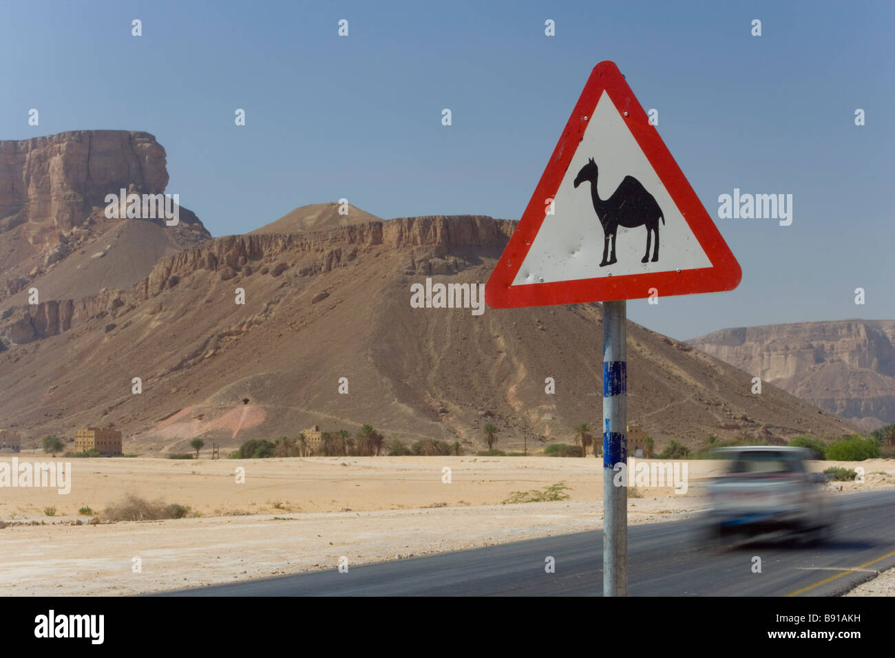 Kamel Warnschild Wadi Hadhramawt, Jemen Stockfoto