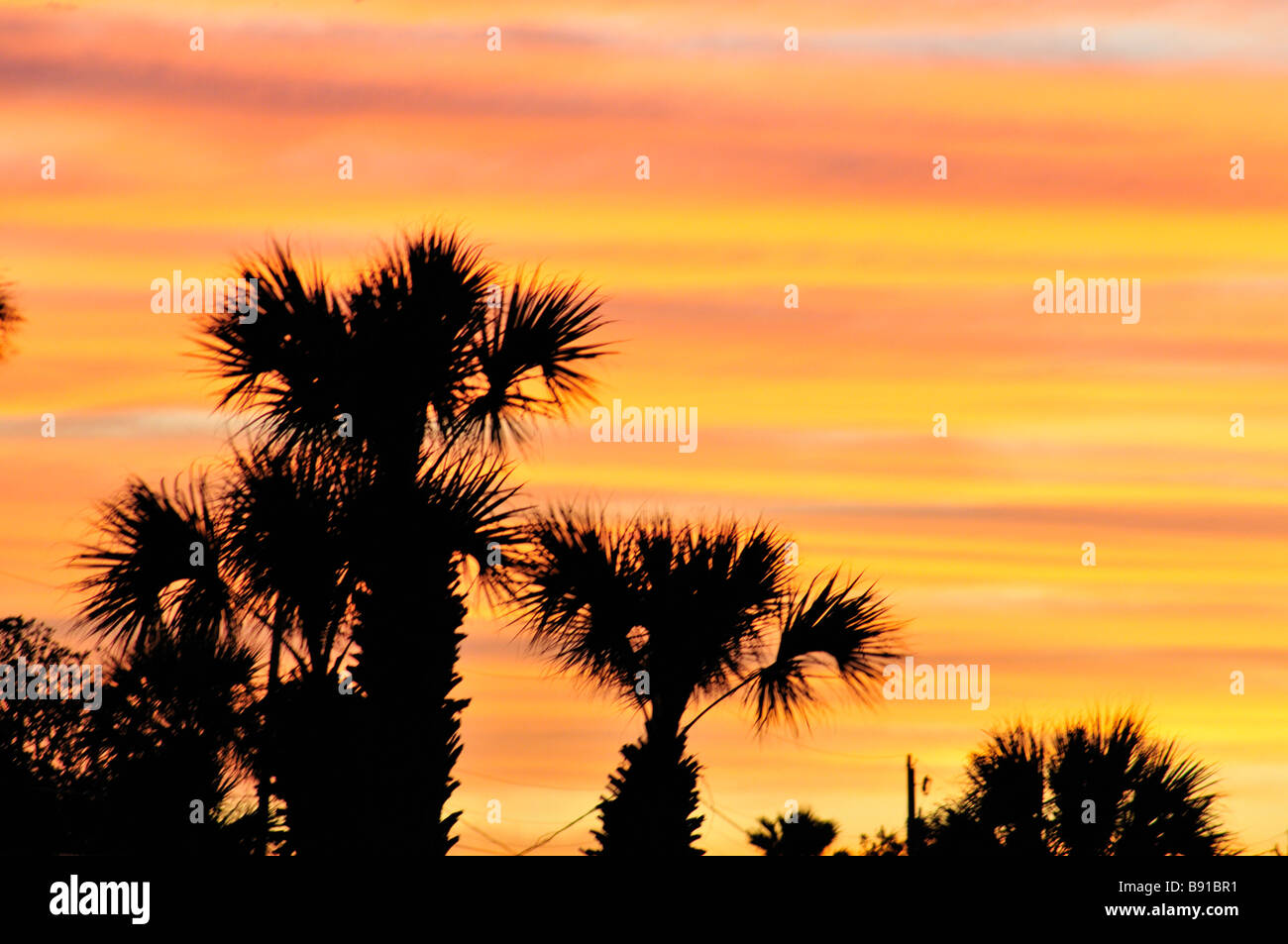 Sonnenuntergang mit mehrfarbig gestreift Abendrot Himmel und Palmen Stockfoto