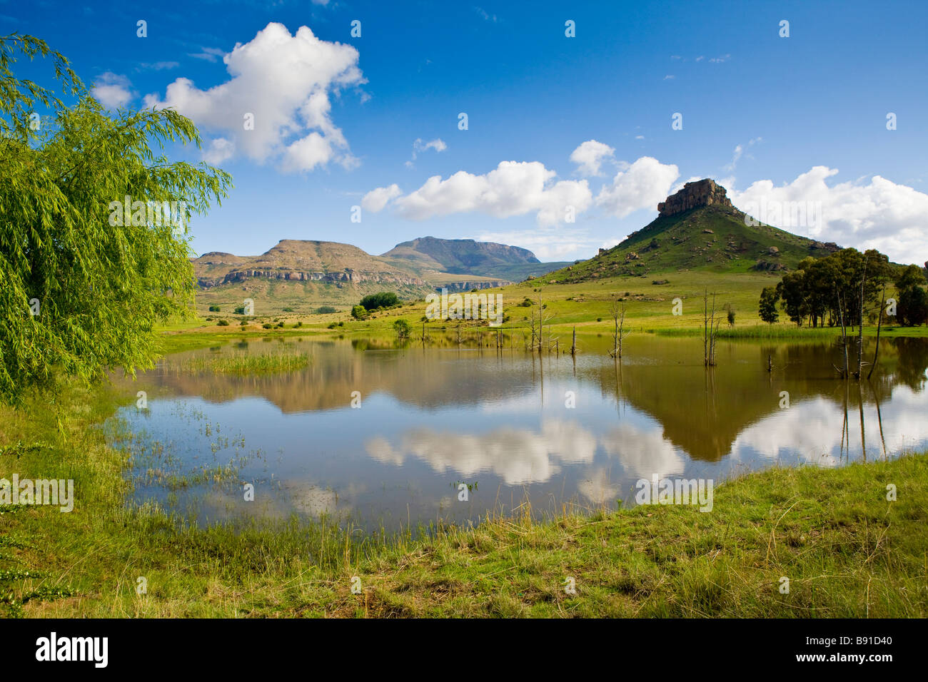 In der Nähe von Clarens kostenlose Orange State, Südafrika Stockfoto