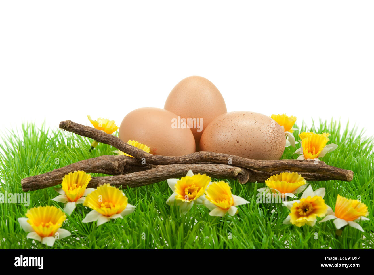 Ostereier im Frühjahr isoliert auf weißem Hintergrund Stockfoto