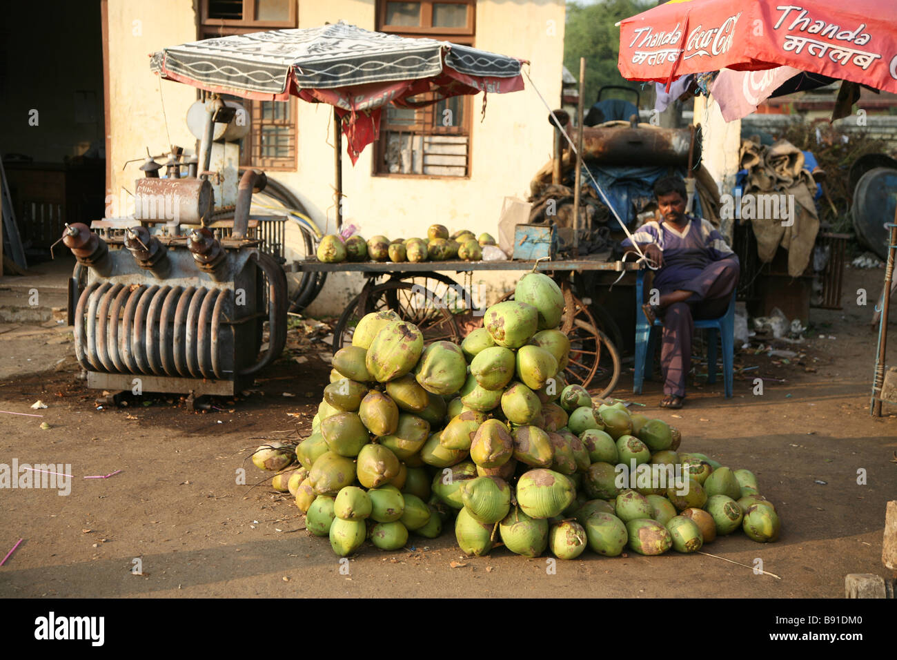 Kokosnüsse für den Verkauf auf den Straßen des Dorfes Mobor in Goa, Indien. Stockfoto