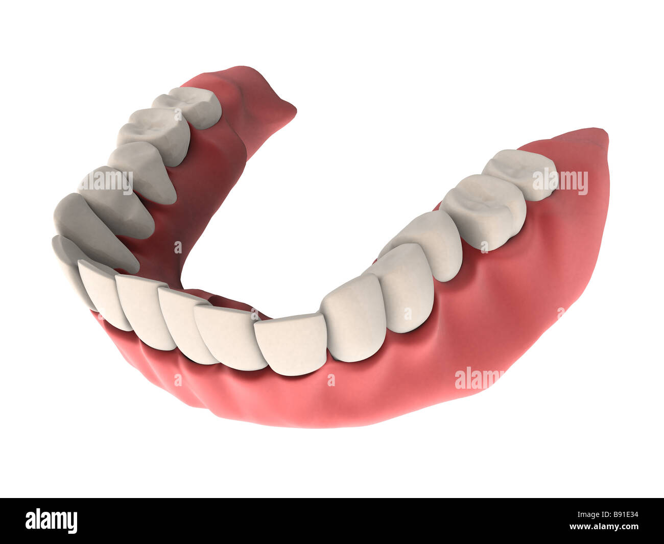 menschlichen Zähnen Stockfoto