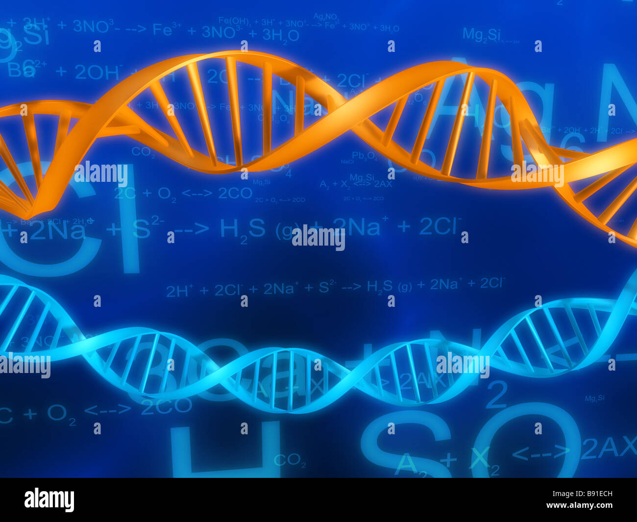 DNA-Modelle Stockfoto