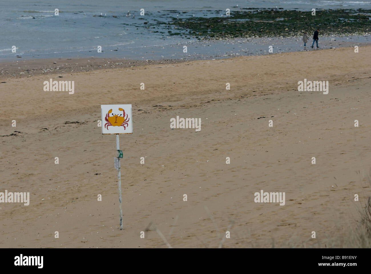 Vorsicht bei Krabben Stockfoto