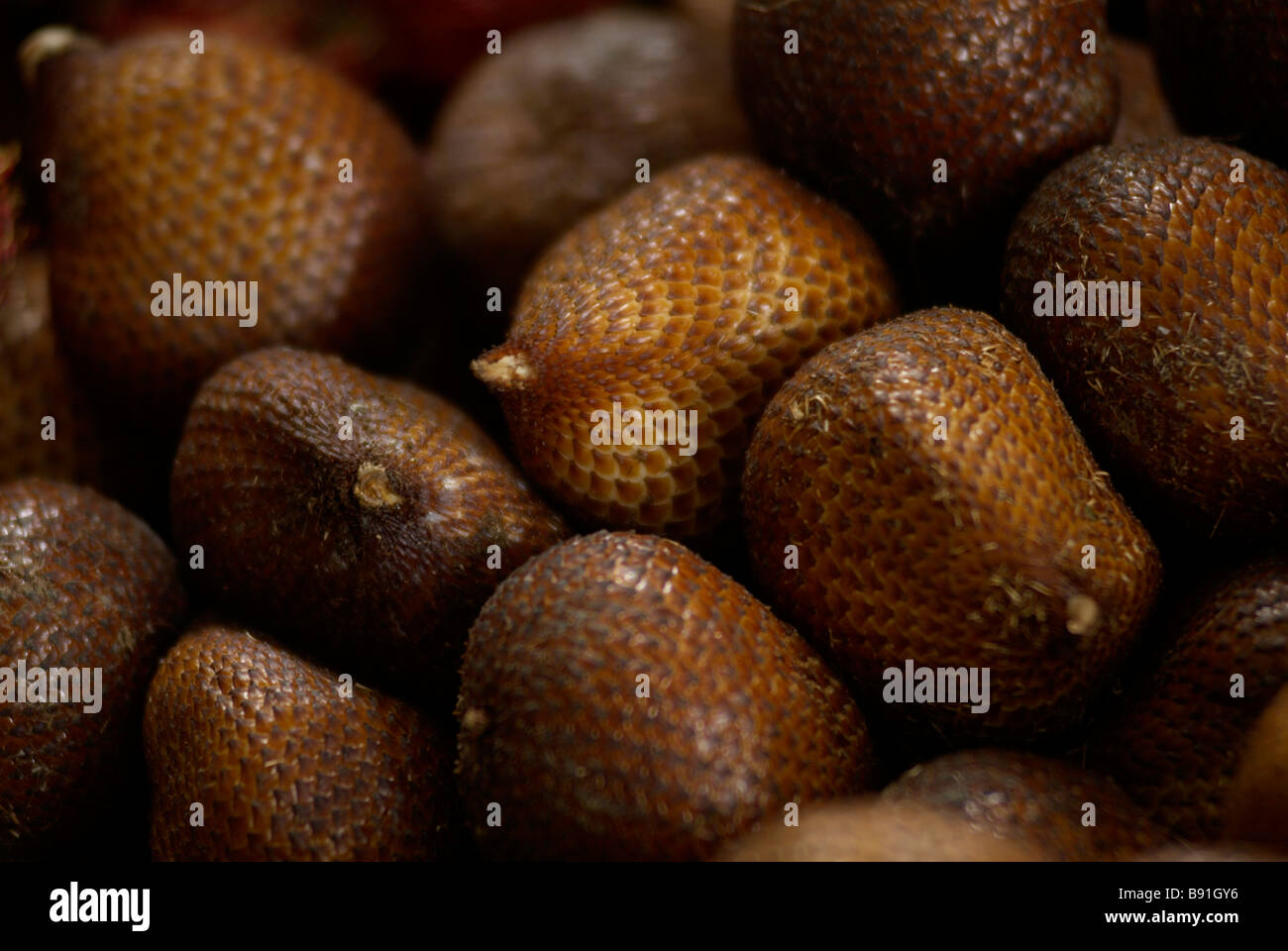 Schlange-Obst Stockfoto