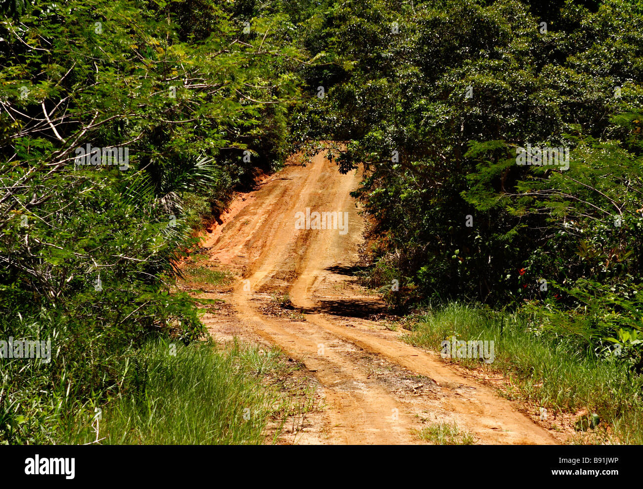 Sandweg in Ecoparque de Una Atlantischen Regenwald Mata Atlântica Bahia Brasilien Südamerika Stockfoto