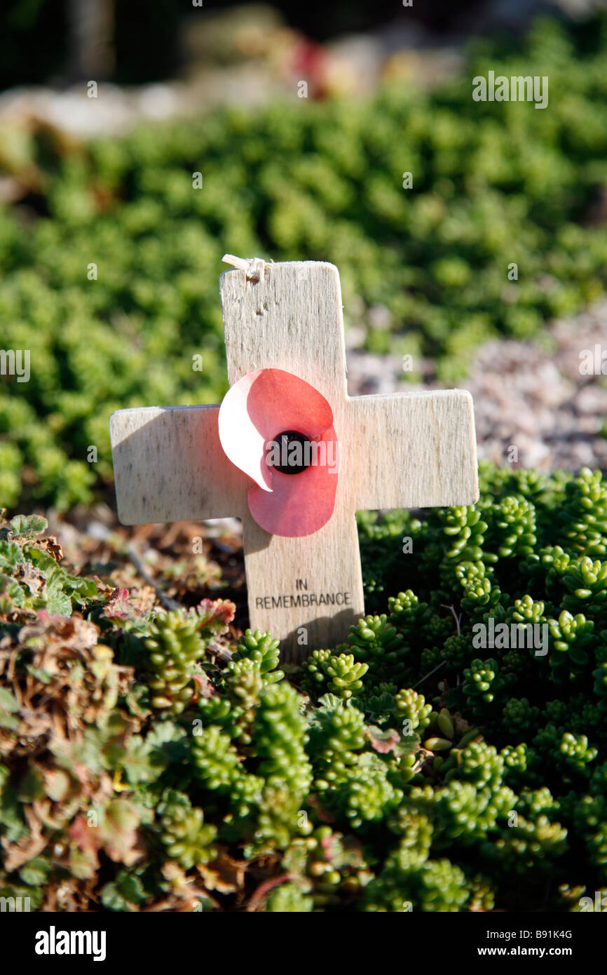 Hölzerne Kreuz und Poppy Garden of Remembrance Stockfoto