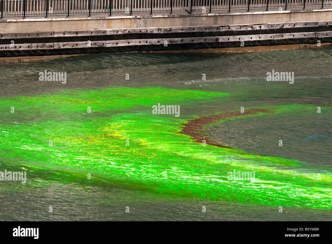 Chicago River, gefärbt grün für St. Patrick's Day Celebration - Chicago, IL Stockfoto