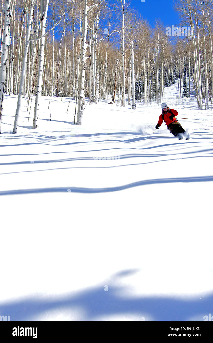 Backcountry Ski Skifahren frischen Tiefschnee in den San Juan Mountains von colorado Stockfoto