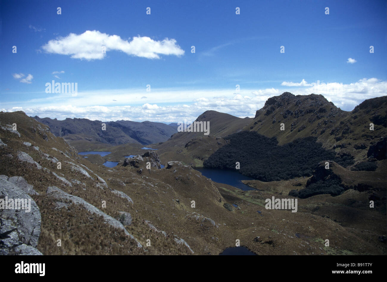 Paramo-Landschaft und die Seen im Cajas Nationalpark in Ecuador Stockfoto