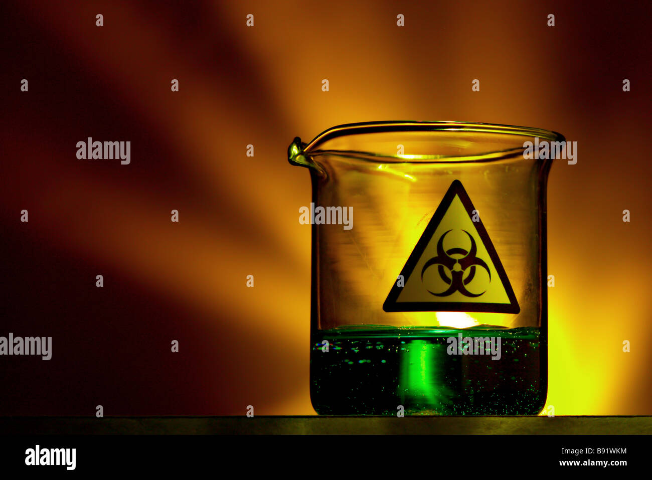 Flüssigkeit gefüllten Labor Becher mit Biohazard-symbol Stockfoto