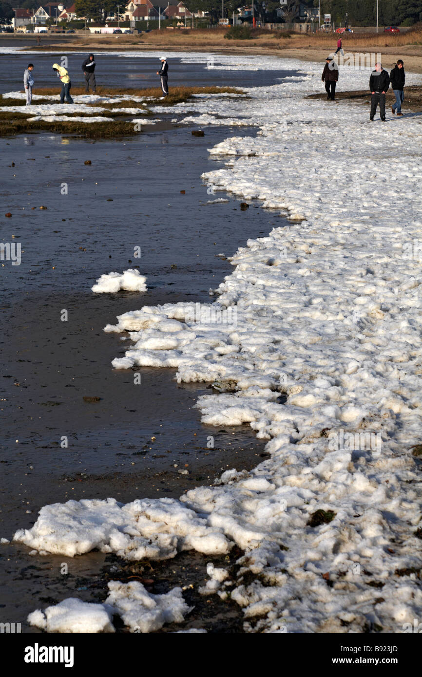 Frozen Sees in Sandbanks, Dorset UK im Januar Stockfoto