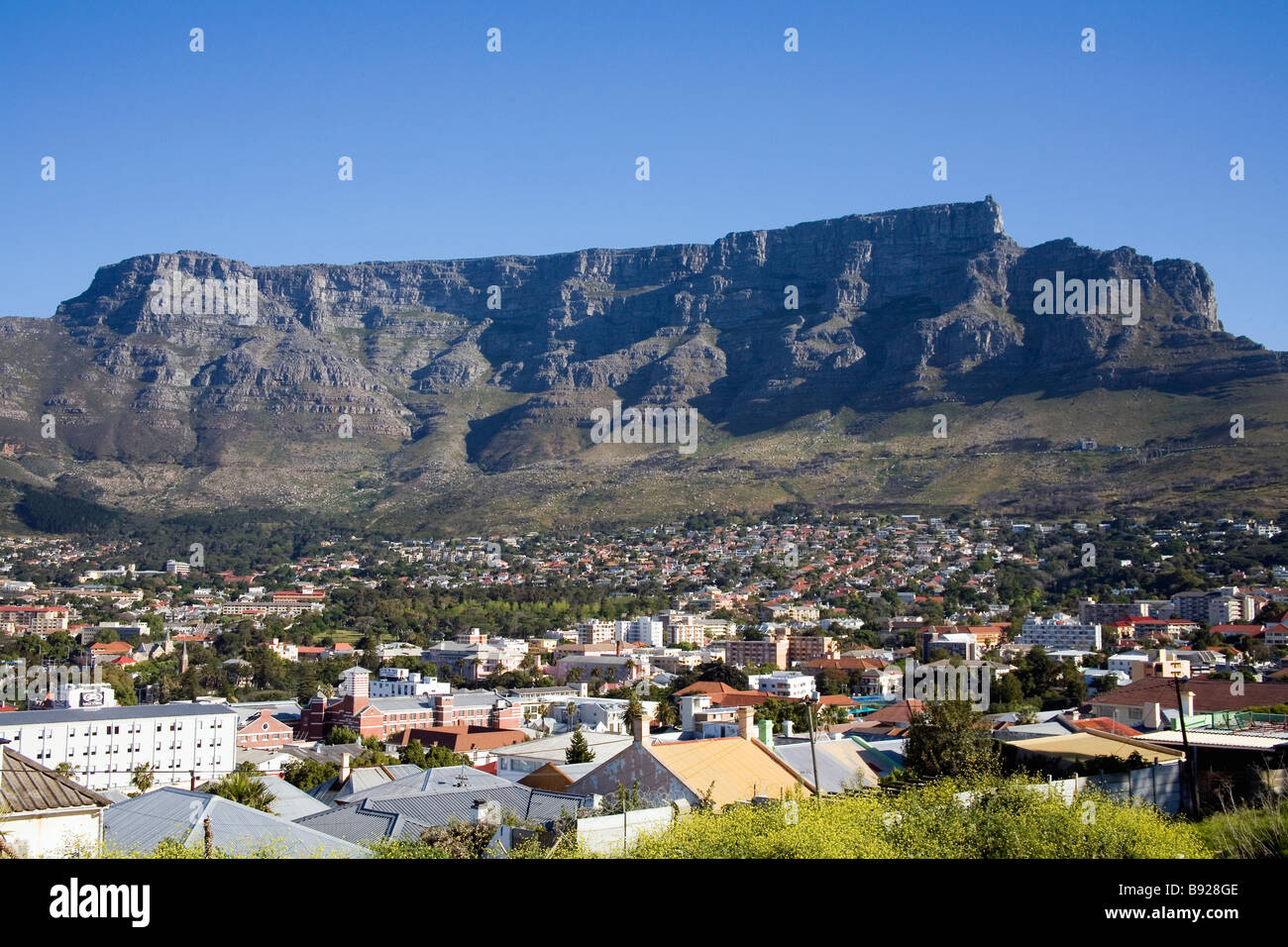 Blick auf Kapstadt City Bowl und Table Mountain Kapstadt Western Cape Provinz Südafrika Stockfoto