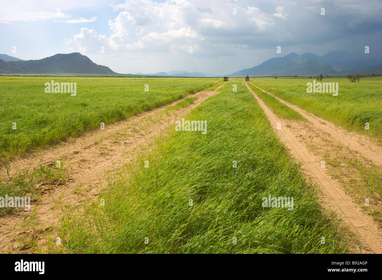 Blick auf einsamen Straßen Marienfluss Tal Kaokoland Namibia Stockfoto