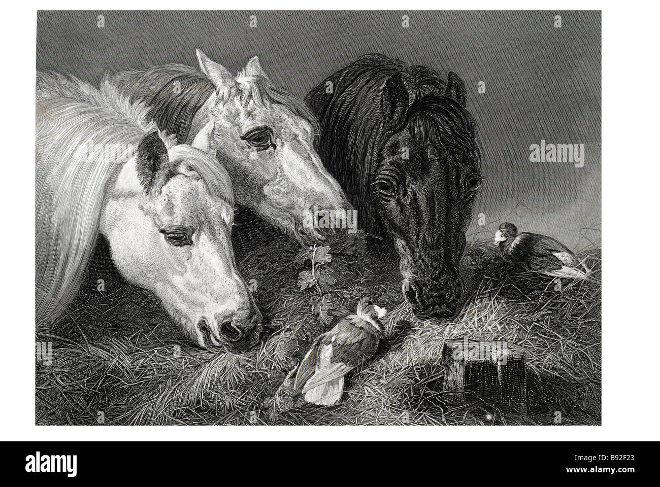 die karge Mahlzeit John F. Herring Szene Künstler 1795 1865 Pferd stabil Heu Stockfoto