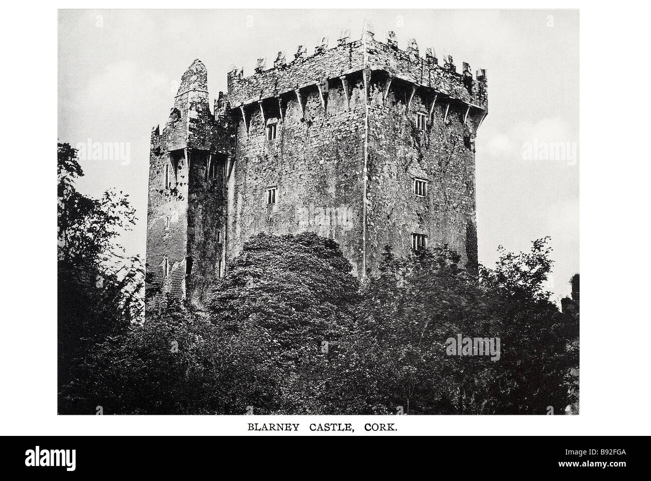 Blarney Castle Cork Blarney Castle ist eine mittelalterliche Festung in Blarney, in der Nähe von Cork, Irland, und der Fluss Martin. Das Schloss ori Stockfoto