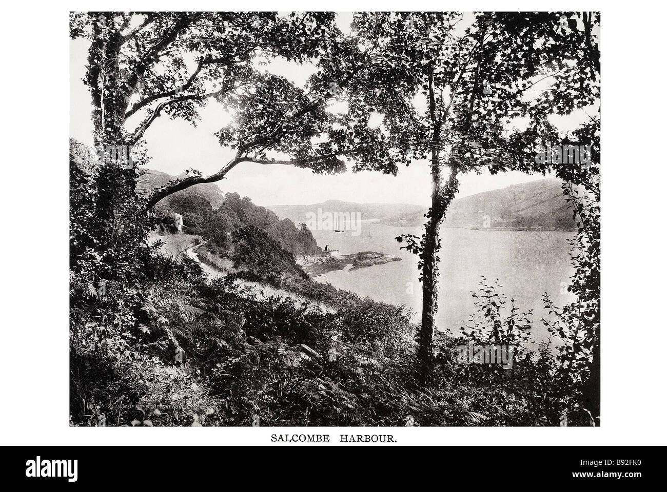 Hafen Salcombe ist eine Stadt in der South Hams von Devon, Süd-west England.  Die Stadt liegt nahe der Mündung des Kin Stockfoto