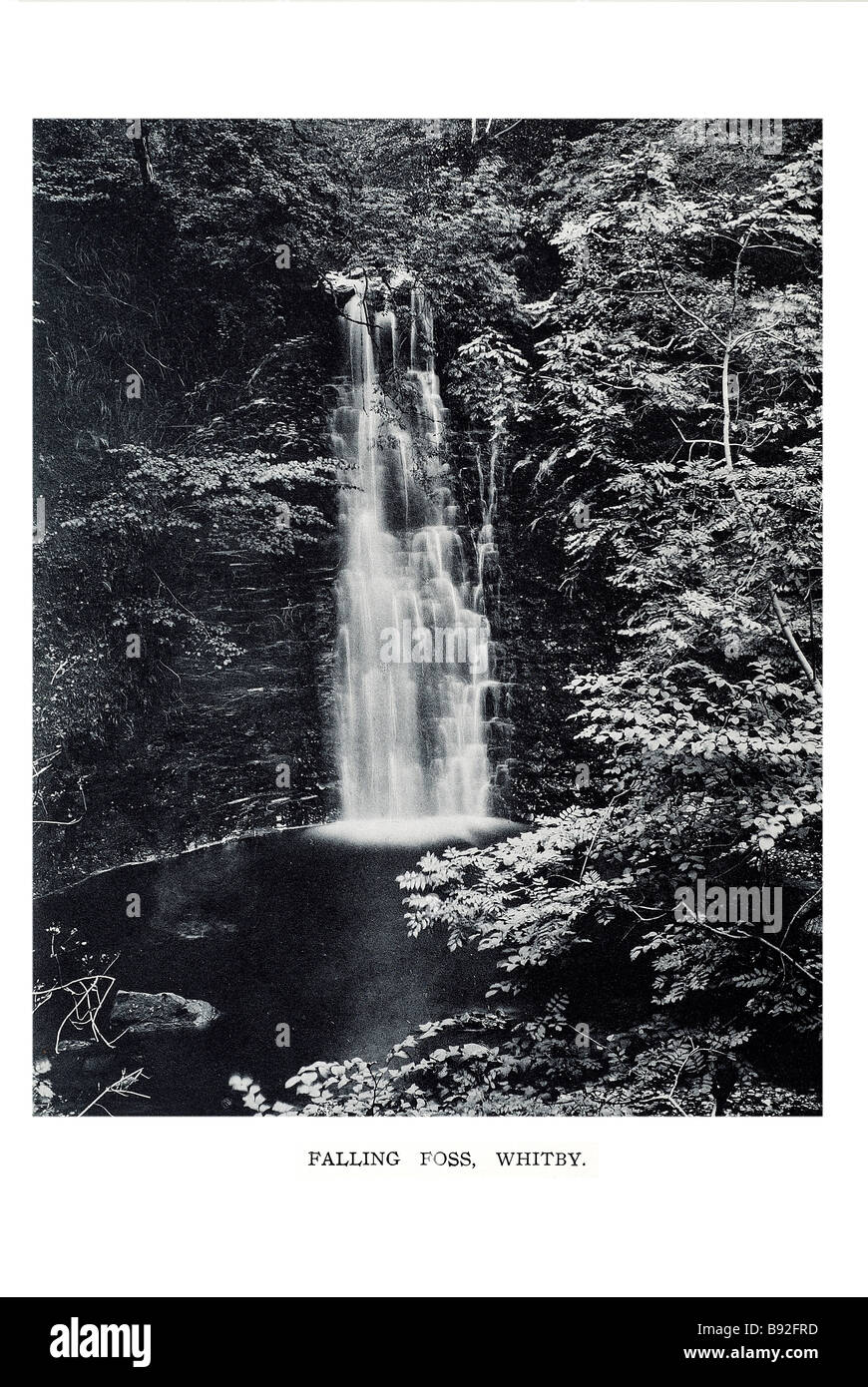 Foss ist Whitby Whitby eine Stadt und Zivilgemeinde in Scarborough Bezirk von North Yorkshire an der Nordost-Küste von fallen Stockfoto