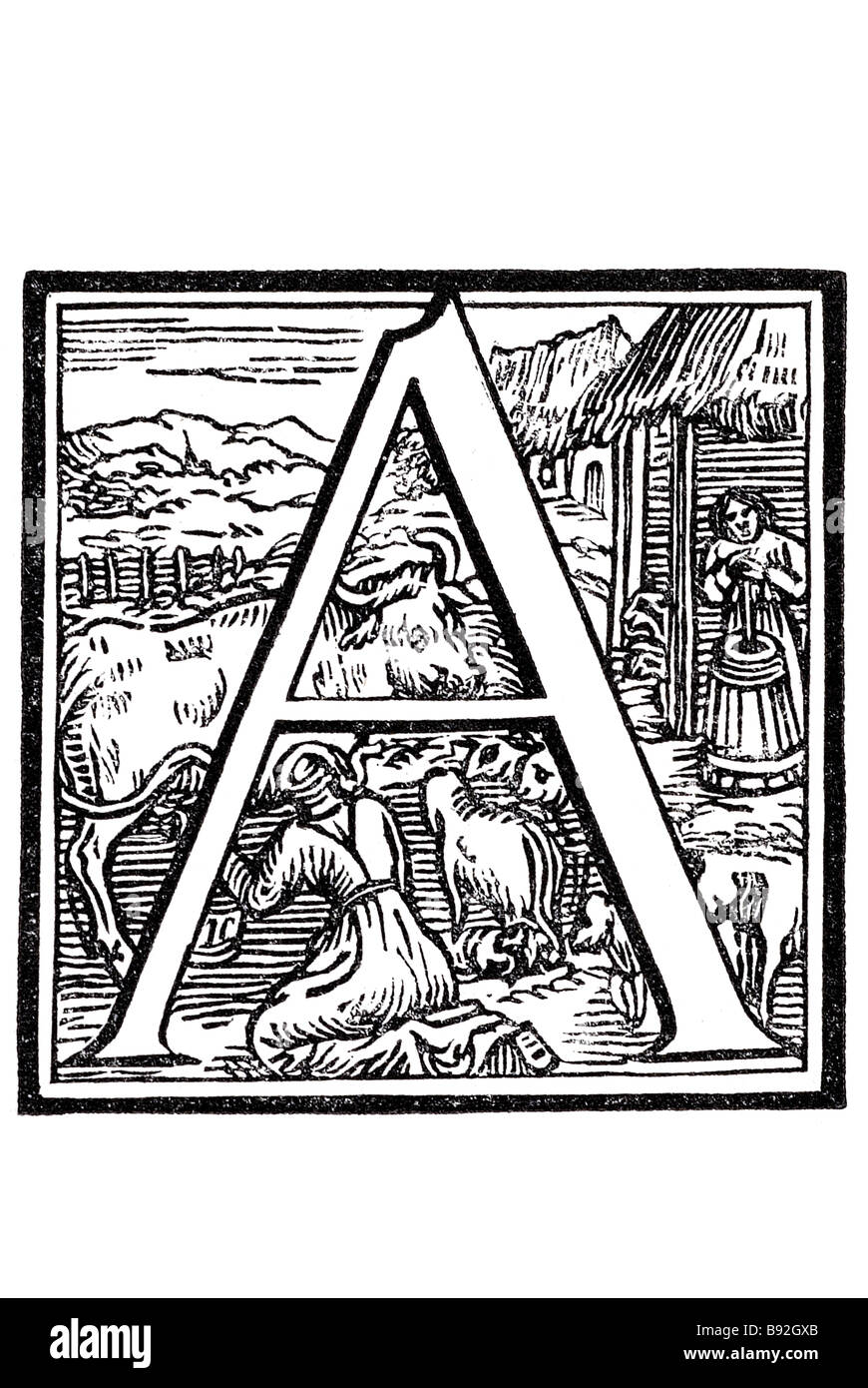 Buchstaben Schrift A Giolito Venedig Hauptstadt Großbetrieb Bauern Melken Kuh Scheune Rinder Vieh ist eine illuminierte Handschrift ein m Stockfoto