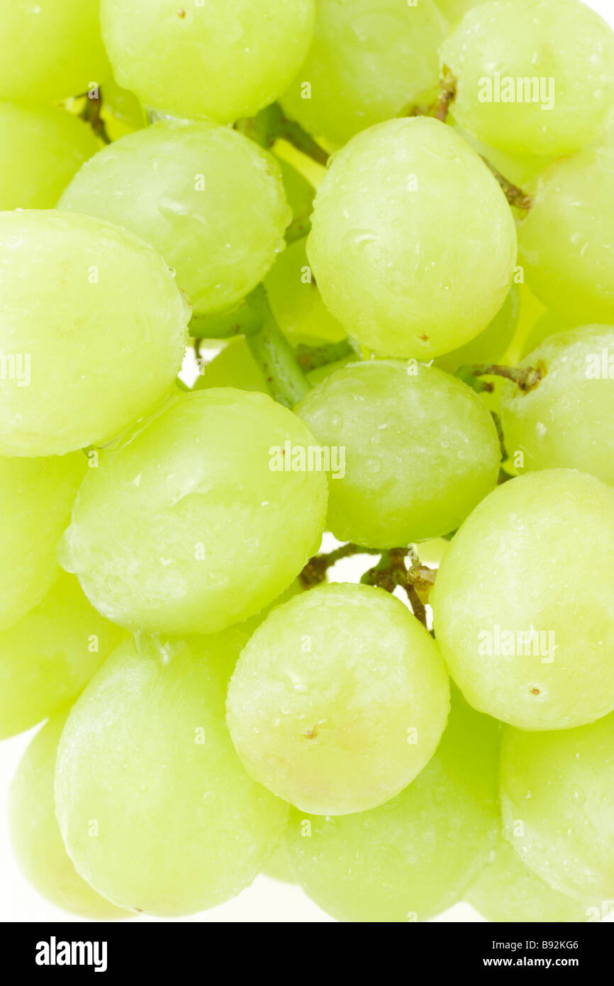 Nahaufnahme eines grünen Weintraube Stockfoto